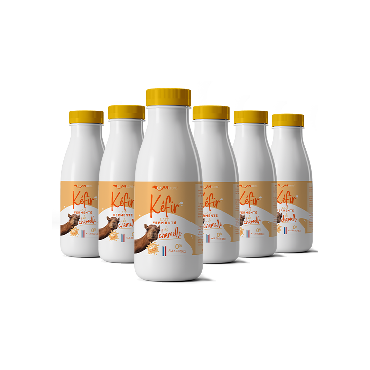KEFIR CHAMELLE lait fermenté 500ml