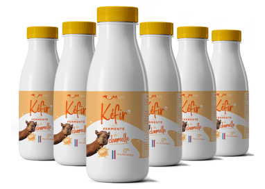 KEFIR CHAMELLE lait fermenté 500ml