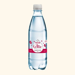 PACK x6 CELTIC rPET 50cl PETILL FORTE