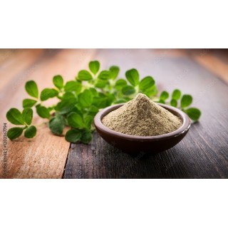 BACOPA MONNIERI BRAHMI   250mg  60gél.