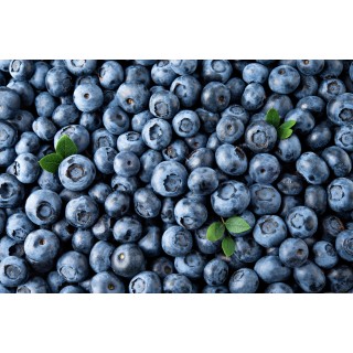 Myrtille ceuillette France Colis 2 Kg