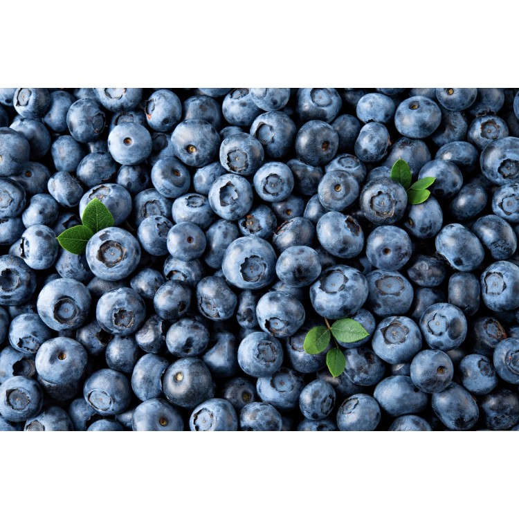 Myrtille ceuillette France Colis 2 Kg Myrtille ceuillette France Colis 2 Kg