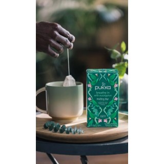 INSPIRATION EUCALYPTUS   x20achets