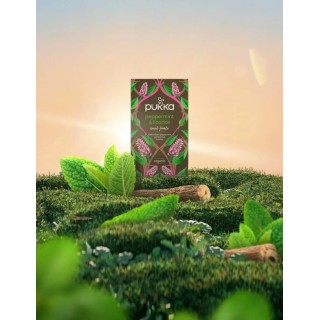MENTHE POIVREE REGLISSE TISANE x20achets