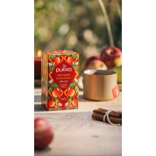 POMME SAUVAGE/CANNELLE/GINGEMBRx20achets