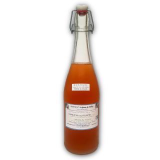 KOMBUCHA PLANTES SAUVAGES  75cl