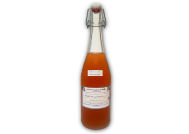 KOMBUCHA PLANTES SAUVAGES  75cl