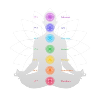SAUGE BLANCHE 7 CHAKRAS tresse 8/10cm