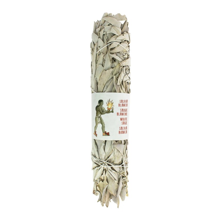 SAUGE BLANCHE CALIFORNIE tresse 22cm
