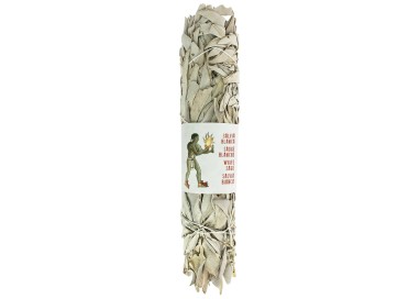 SAUGE BLANCHE CALIFORNIE tresse 22cm