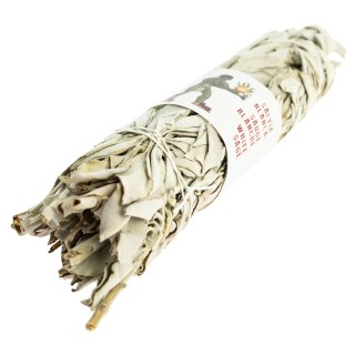 SAUGE BLANCHE CALIFORNIE tresse 22cm