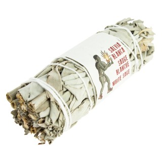 SAUGE BLANCHE tresse 8/10cm
