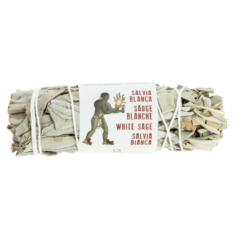 SAUGE BLANCHE tresse 8/10cm