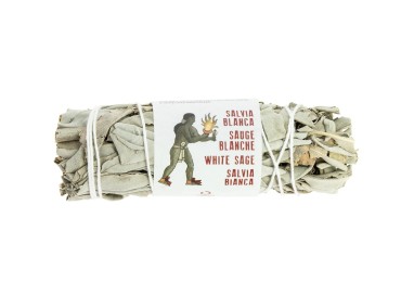 SAUGE BLANCHE tresse 8/10cm