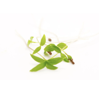 PERSIL "MONARQUE"   10g