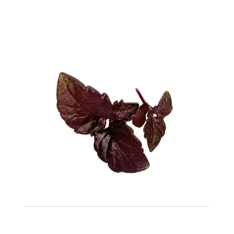 SHISO "INDIEN" 10g SHISO "INDIEN" 10g