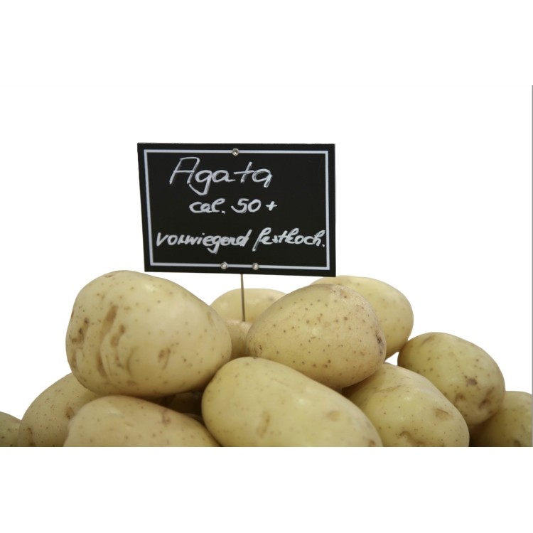 Pommes de terre Agata France Pommes de terre Agata France