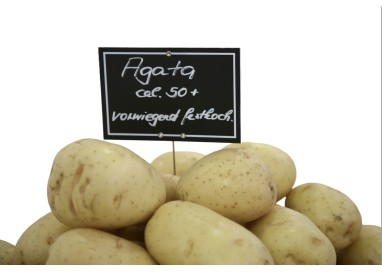 Pommes de terre Agata France