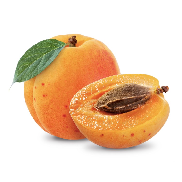 ABRICOT France (6 pièces)