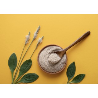 PSYLLIUM BLOND TEGUMENT de GRAINE  500g