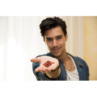 GOJI BAIES SECHEES   400g