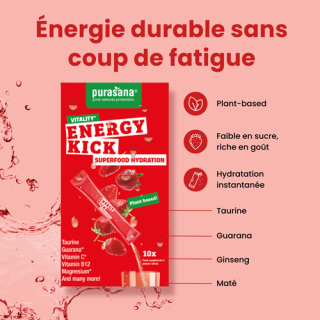ENERGY KICK - VITALITE 10x4.5g