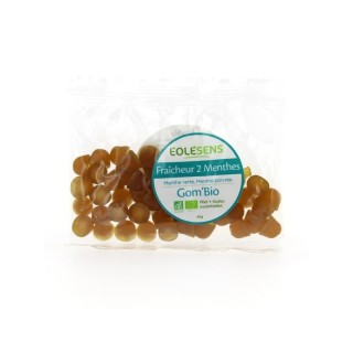GOM'BIO FRAICHEUR 2 MENTHES pastilles