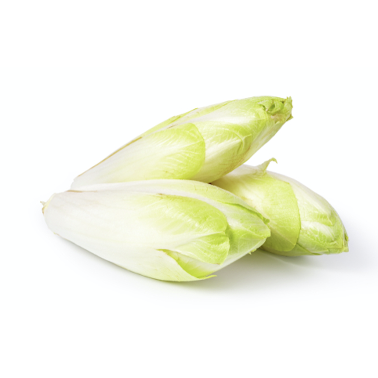 Endive Pays Bas Endive Pays Bas