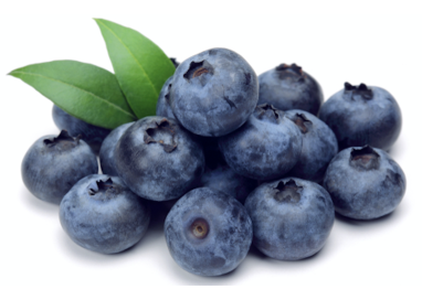 MYRTILLE Ceuillette vrac