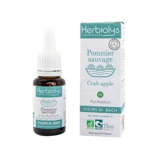 CRAB APPLE POMMIER SAUVAGE N°10  15ml