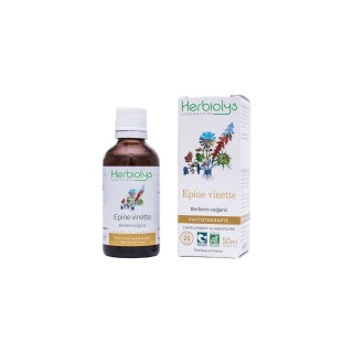 EPINE VINETTE BERBERIS VULGARIS alc 50ml