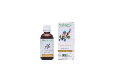 EPINE VINETTE BERBERIS VULGARIS alc 50ml