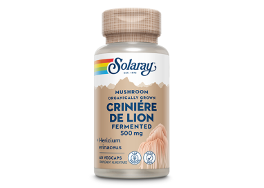 CRINIERE de LION fermenté 500mg   60cp