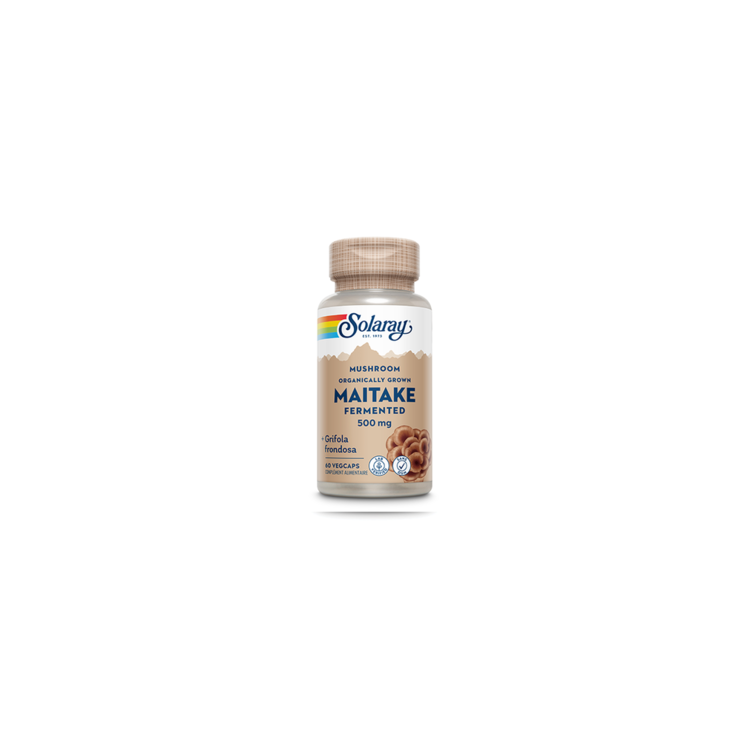 MAITAKE fermenté 500mg 60cp MAITAKE fermenté 500mg 60cp