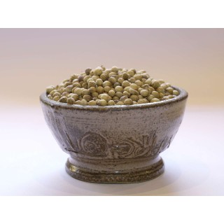 CORIANDRE graines boite 50g