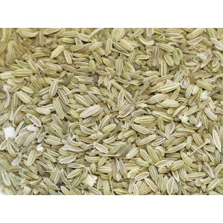FENOUIL graines boite 50g