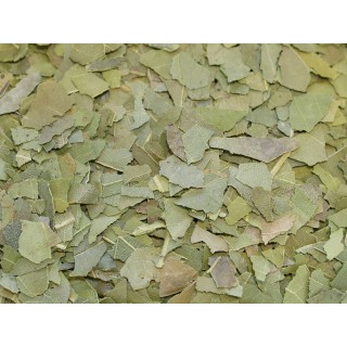 LAURIER feuille boite 50g