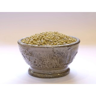 MOUTARDE BLANCHE graines boite 50g