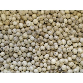 POIVRE BLANC de KAMPOT IGP  boite 50g