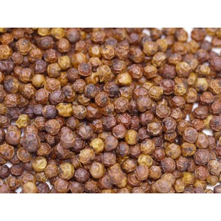 POIVRE ROUGE de KAMPOT IGP  boite 50g