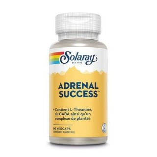 ADRENAL SUCCESS   60cp