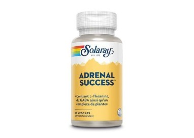 ADRENAL SUCCESS   60cp