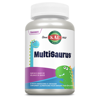 DINOSAURES MULTISAURUS à croquer  x60