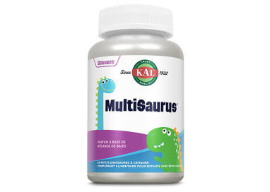 DINOSAURES MULTISAURUS à croquer  x60