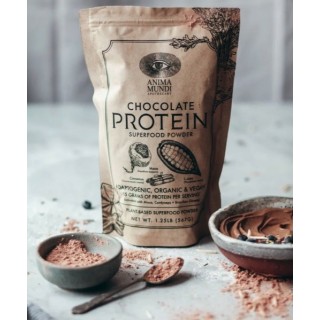 CHOCOLATE PROTEIN poudre 567g