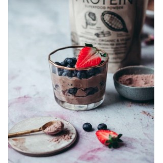 CHOCOLATE PROTEIN poudre 567g