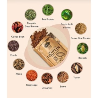 CHOCOLATE PROTEIN poudre 567g