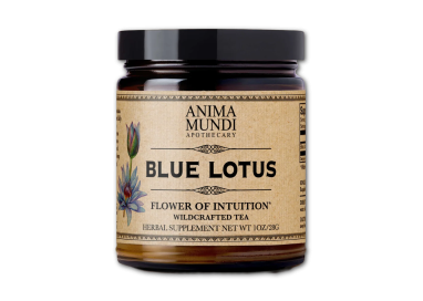 BLUE LOTUS poudre  28g
