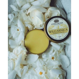 HEAL-ALL ARNICA RELIEF BALM pâte  41g