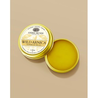 HEAL-ALL ARNICA RELIEF BALM pâte  41g